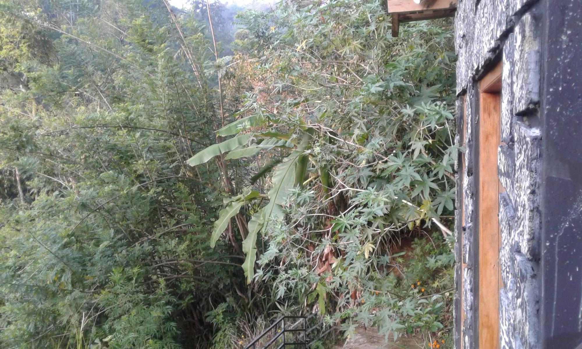 Ella Lucky Panoramic Hotel Cameră foto